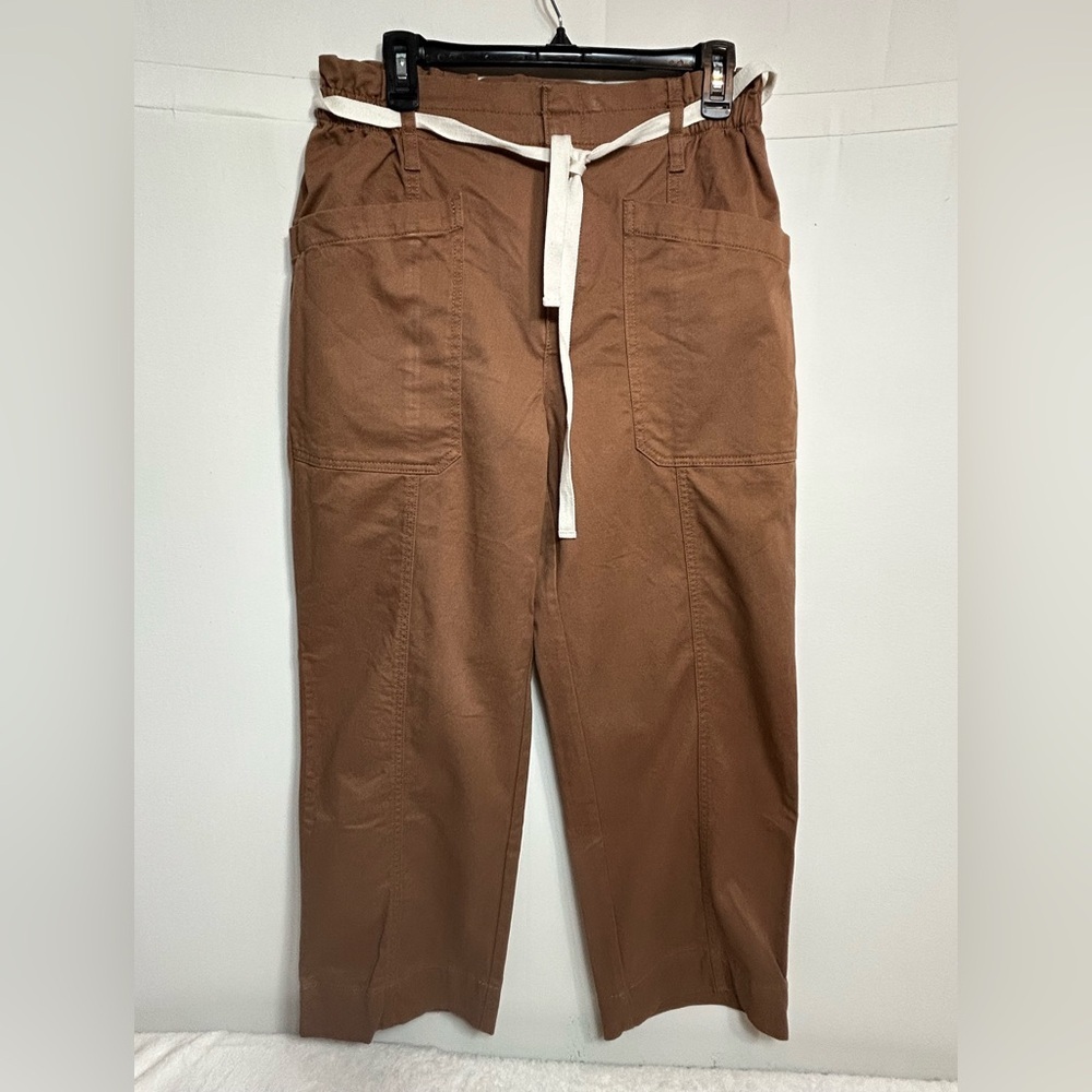 LOFT Soft Brown Straight Leg Pants with Cream Tie. Zip & Button Closure - Picture 2 of 13